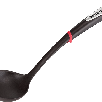 INGENIO LADLE