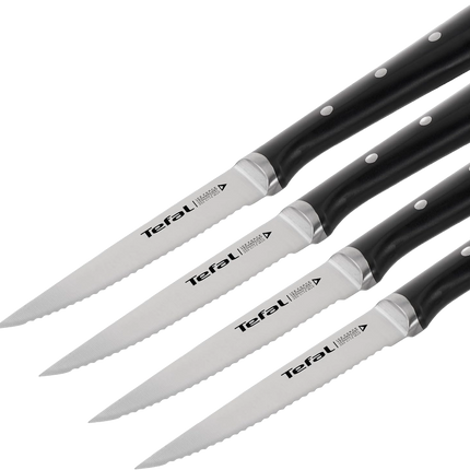 TEFAL SET OF 4 STEAK KNIVES