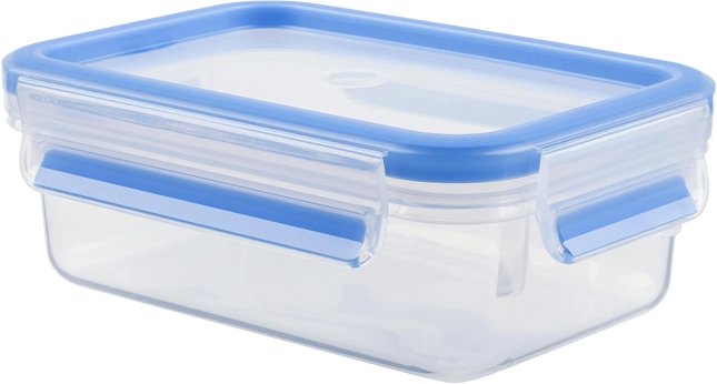 TEFAL MASTERSEAL CONSERVATION BOX